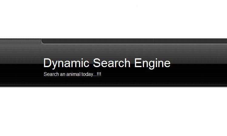 Dynamic Search Engine